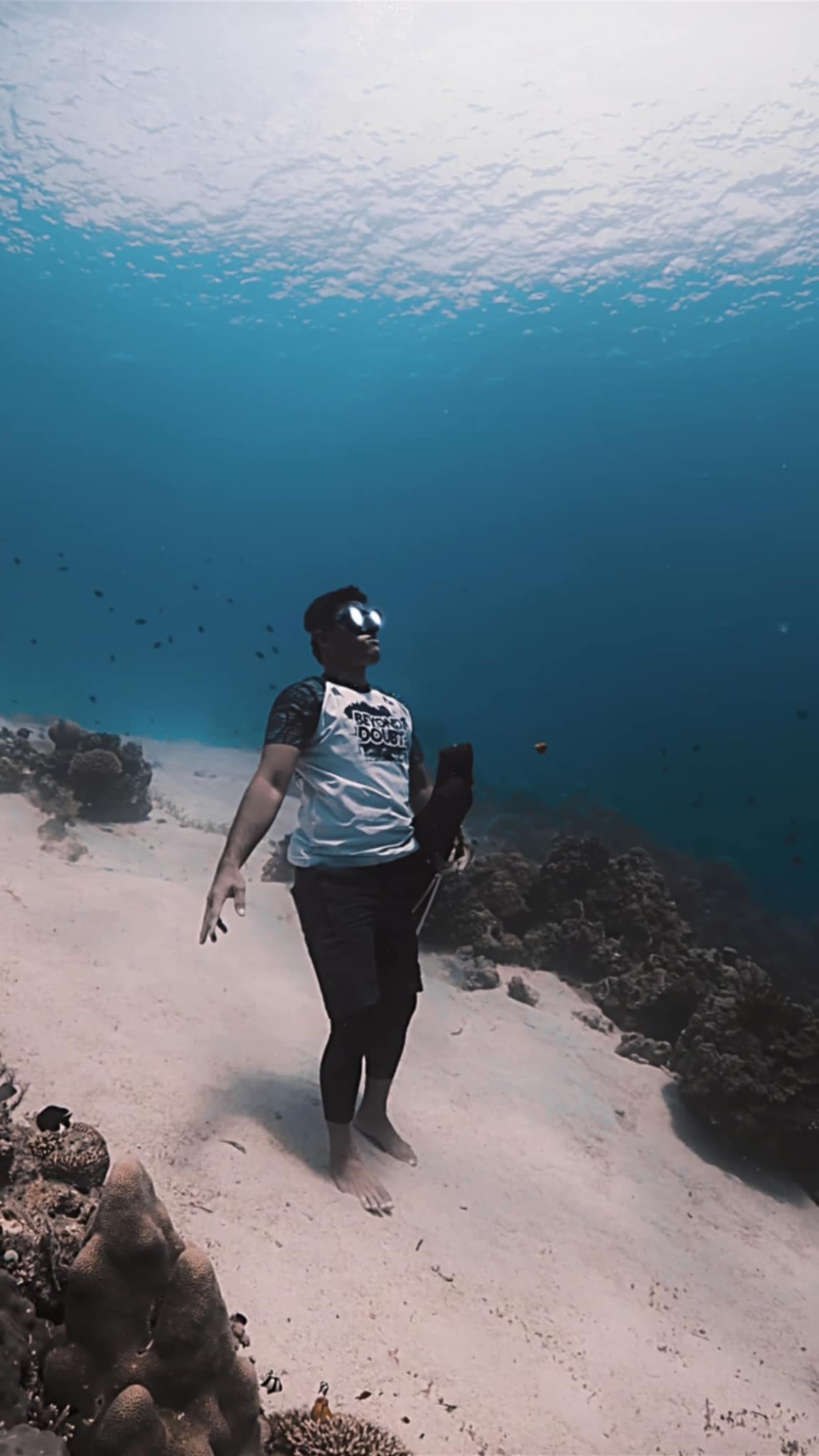 Guided fundive in Siquijor
