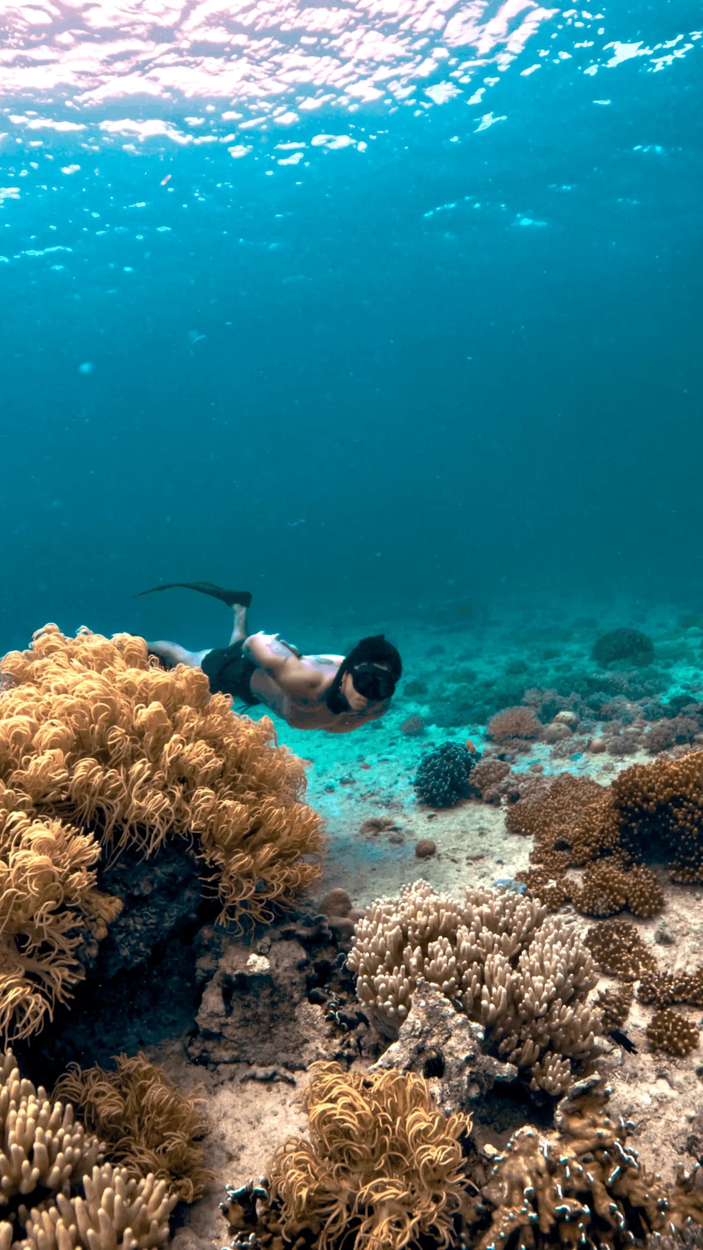 Freediver gliding over a coral reef in Siquijor