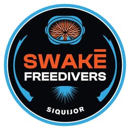 Swake Logo